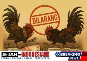 cover_5_43987a8d68