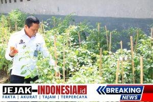 IMG-20250922-WA0065