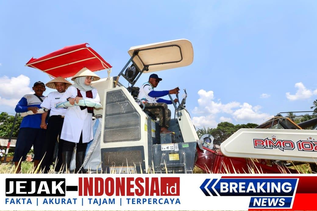 Program Ketahanan Pangan Presiden Prabowo Dirasakan Petani dan Dongkrak Produksi Pertanian Banyuwangi