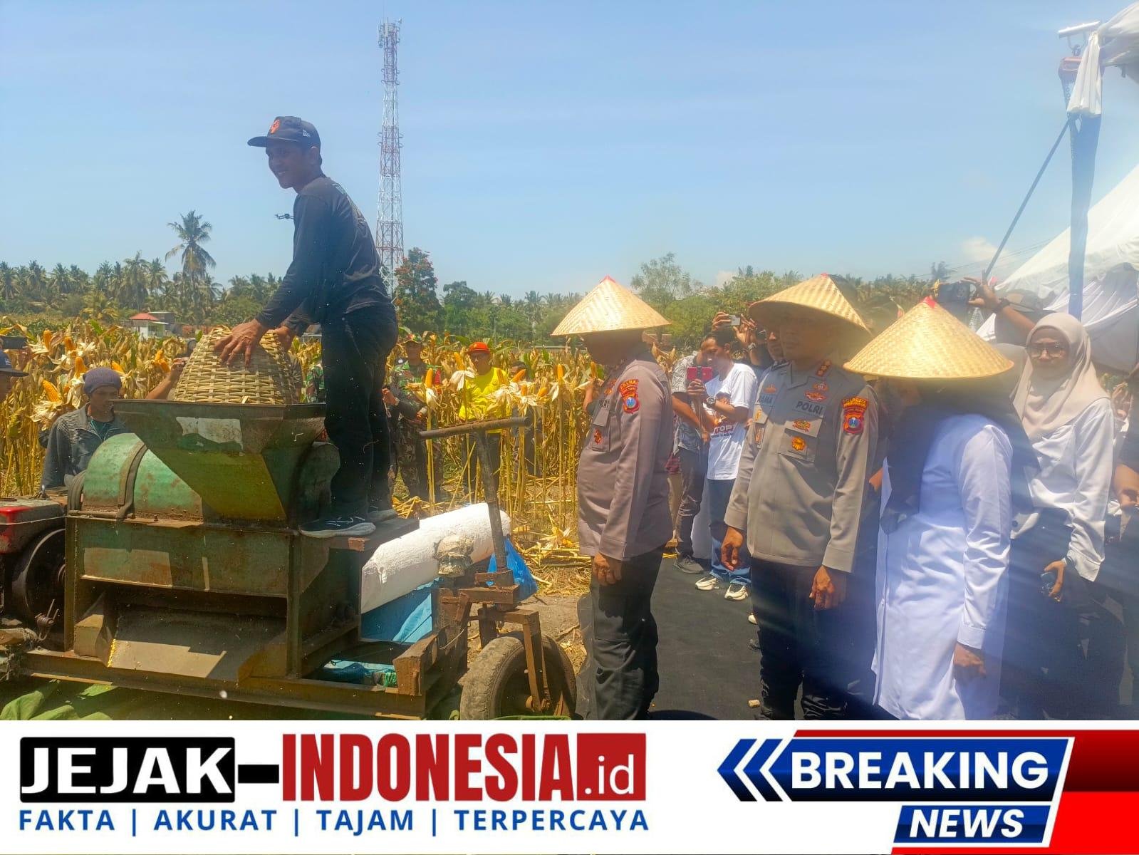 Polresta Banyuwangi Panen Jagung Serentak 1.446 Ton Bersama Kapolda Jatim, Wujud Komitmen Ketahanan Pangan Nasional
