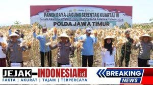 IMG-20250927-WA0038