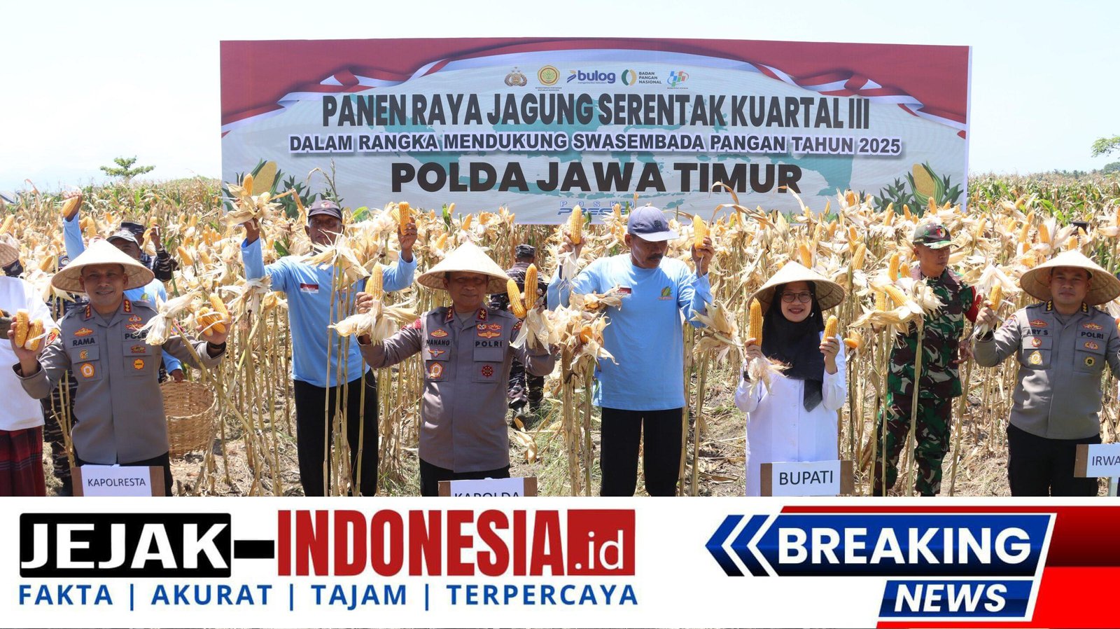 Komitmen Wujudkan Ketahanan Pangan Nasional, Kapolda Jatim Bersama Forkopimda Banyuwangi Gelar Panen Jagung Serentak 1.446 Ton