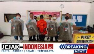 IMG-20251002-WA0028