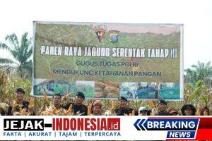 IMG-20251026-WA0058