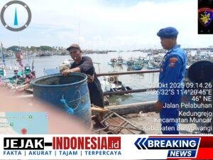 IMG-20251030-WA0114