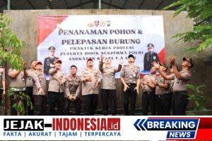 IMG-20251112-WA0039