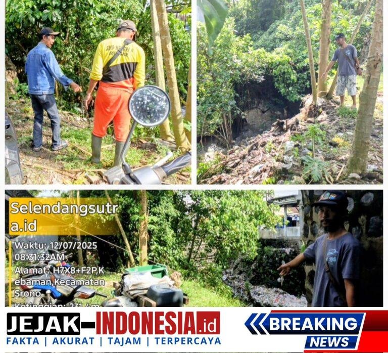 IMG-20251207-WA0041