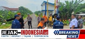 IMG-20251220-WA0049
