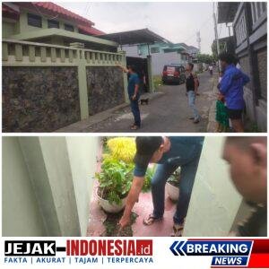 PhotoGrid_Site_1765790320589