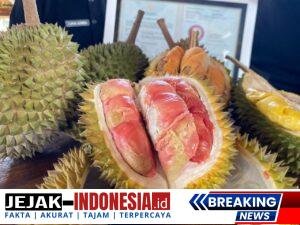 IMG-20260122-WA0045