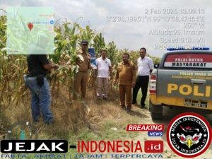 IMG-20260207-WA0051