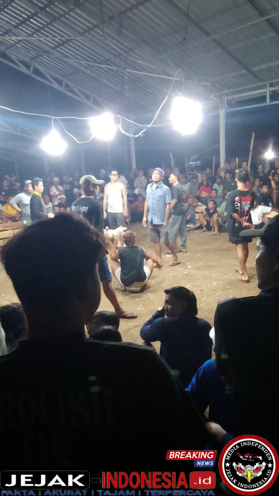Tajen Bebas di BB Agung Jembrana: Bantuan Kolam Disulap Arena Judi, APH Diduga Tutup Mata