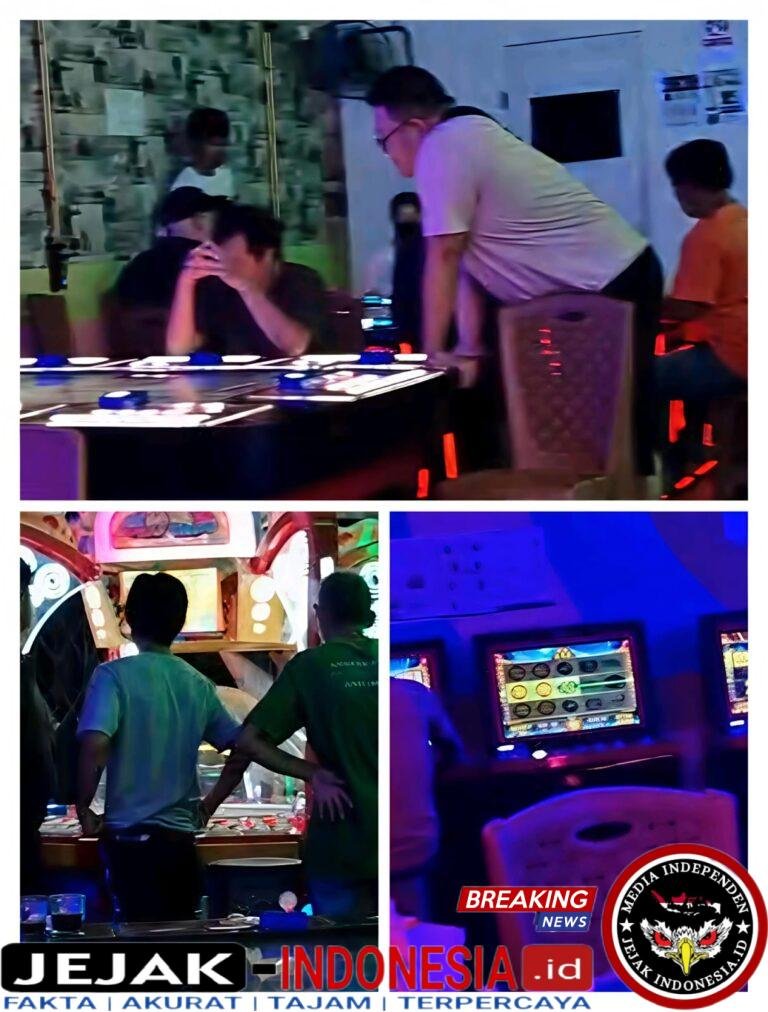 IMG-20260211-WA0001