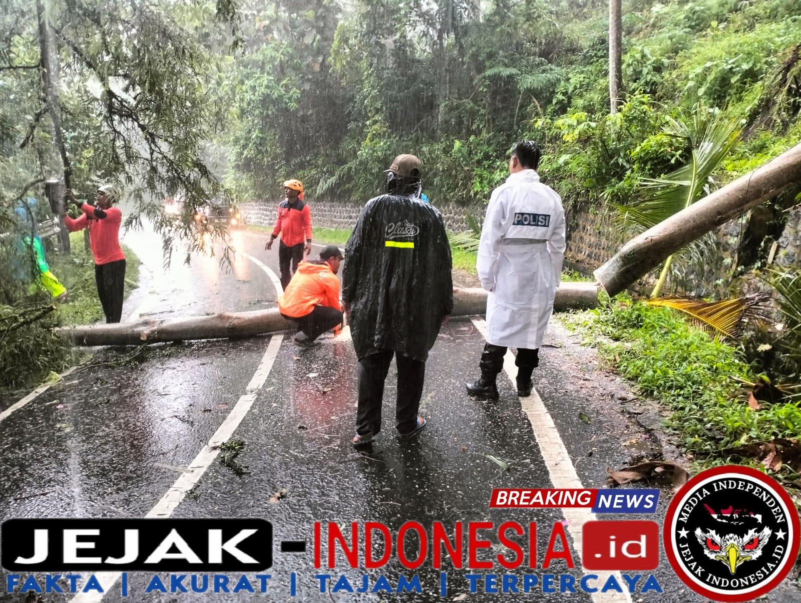 Respon Cepat Polsek Glagah dan BPBD Evakuasi Pohon Tumbang di Jalur Glagah-Licin, Arus Lalin Kembali Normal