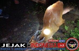 IMG-20260215-WA0004