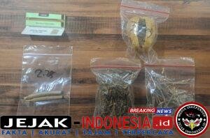 IMG-20260224-WA0042