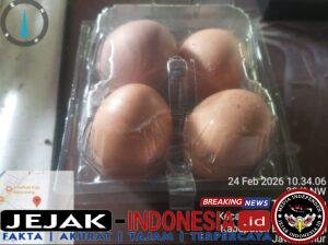 IMG-20260224-WA0077