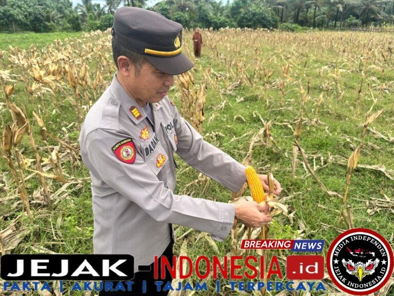 IMG-20260302-WA0093