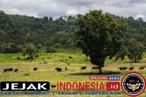 IMG-20260312-WA0028