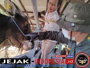IMG-20260313-WA0020