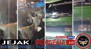 IMG-20260313-WA0045