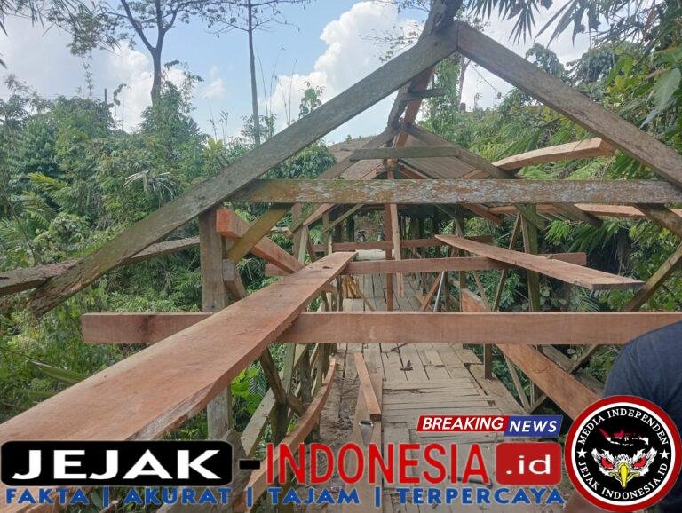 IMG-20260326-WA0042