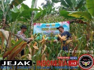 IMG-20260327-WA0018