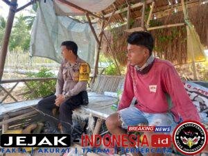 IMG-20260328-WA0017