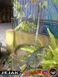 IMG-20260329-WA0055