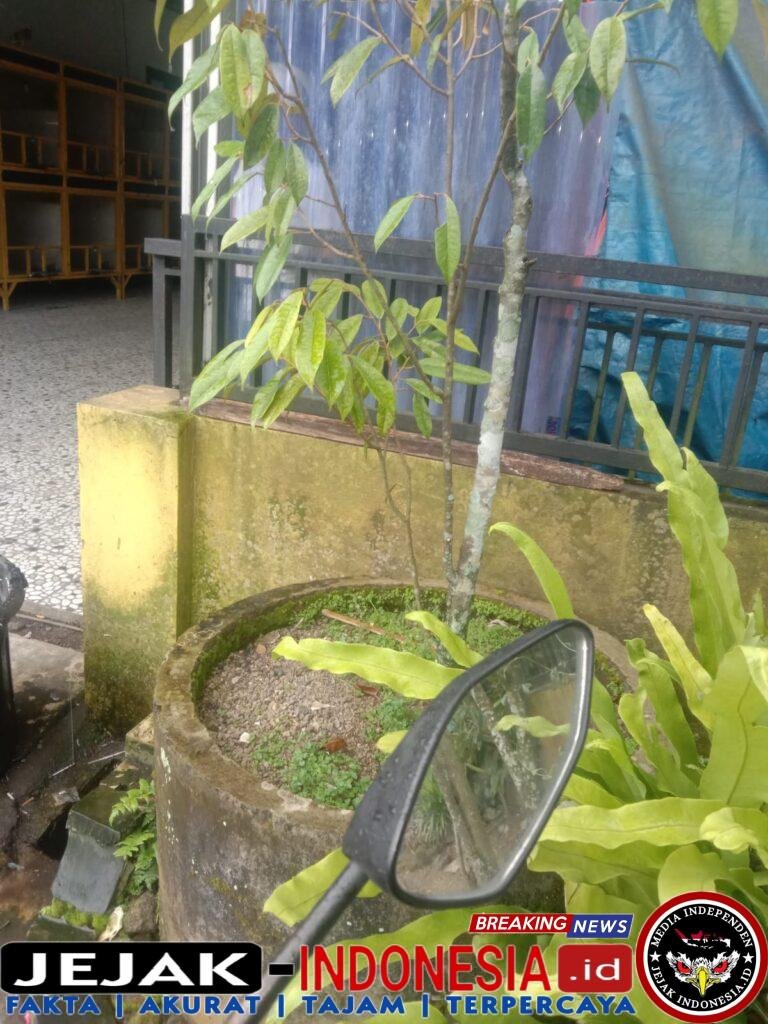 IMG-20260329-WA0055