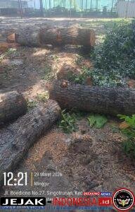IMG-20260330-WA0004