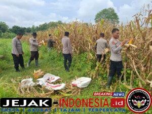 IMG-20260402-WA0031