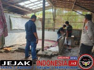 IMG-20260403-WA0026