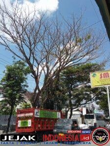 IMG-20260404-WA0041