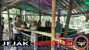 IMG-20260408-WA0018
