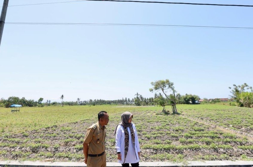 Pemkab Banyuwangi Siapkan Satgas Antisipasi Kemarau Panjang