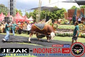 IMG-20260507-WA0017