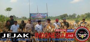IMG-20260507-WA0028