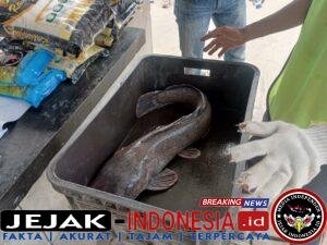 IMG-20260510-WA0045