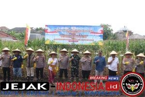 IMG-20260517-WA0045