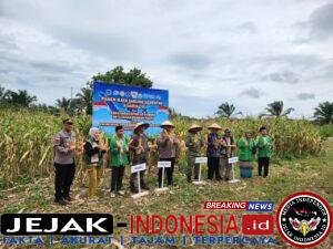 IMG-20260517-WA0086