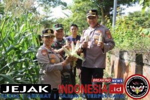 IMG-20260517-WA0090