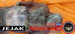 IMG-20260518-WA0081