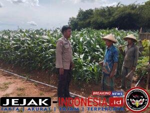 IMG-20260522-WA0055