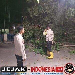 IMG-20260525-WA0008