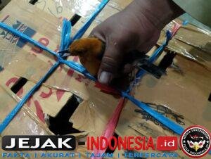 IMG-20260525-WA0113