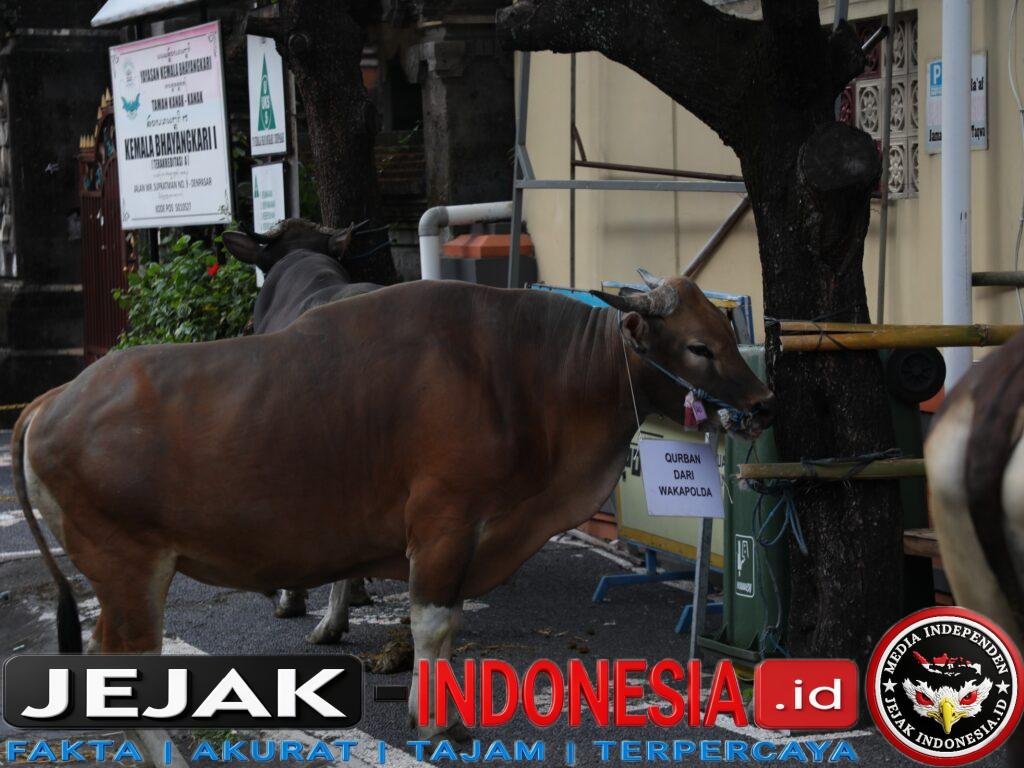 IMG-20260527-WA0057