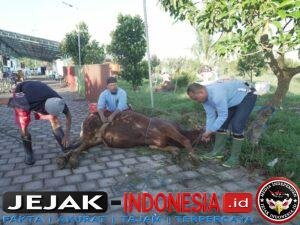 IMG-20260529-WA0092