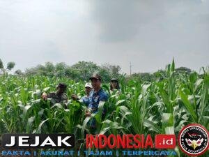 IMG-20260601-WA0091