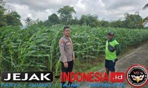 IMG-20260604-WA0046